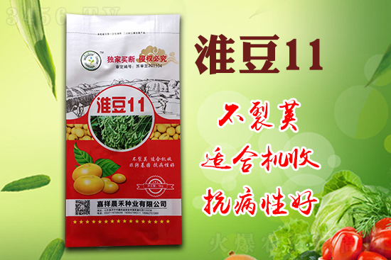 淮豆11?kg?大豆种子-晨禾种业2.jpg