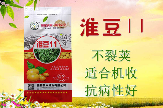 淮豆11?kg?大豆种子-晨禾种业1.jpg