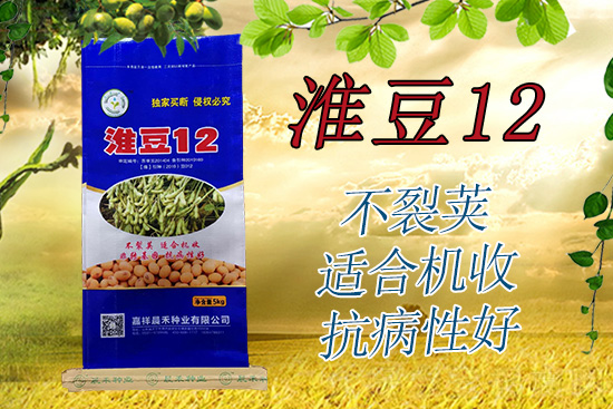 淮豆12-大豆种子-晨禾种业1.jpg